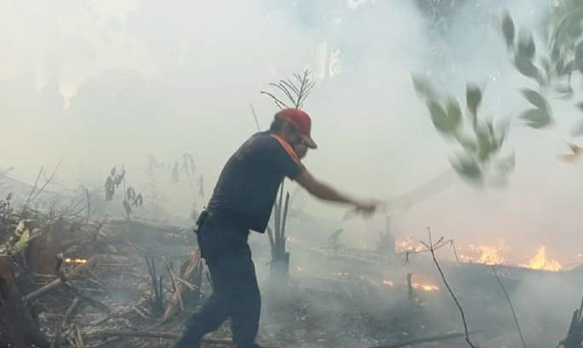 BPBD Babel Memproses 55 Karhutla, 66,81 Hektar Lahan Terbakar.