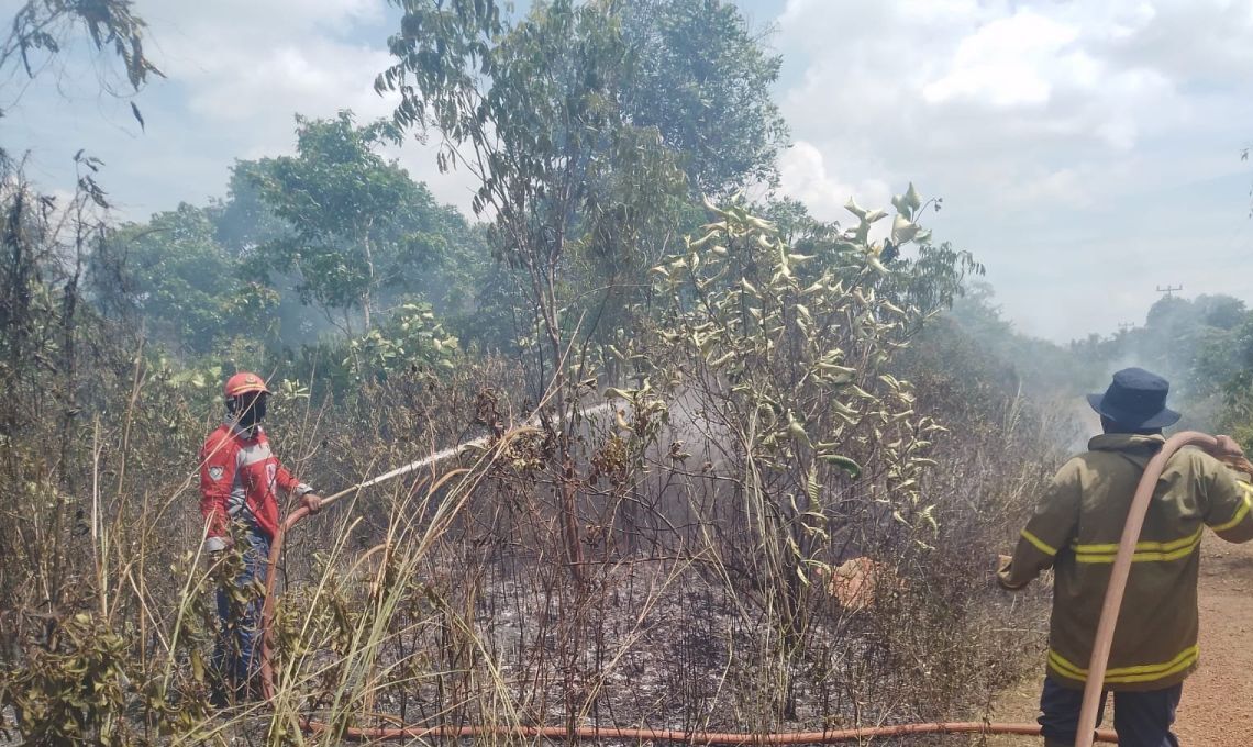 Damkar Belitung Padamkan Kebakaran Satu Hektare Lahan Kering