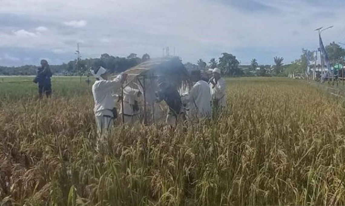 Kearifan Lokal Benteng Pertanian Dari Serbuan Tambang