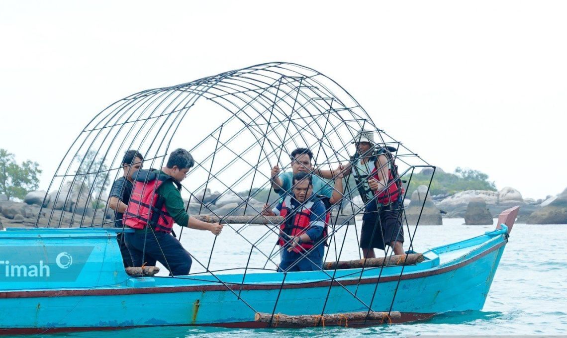 PT Timah Menebarkan Lagi 37 Unit Coral Garden Di Pulau Putri Bangka