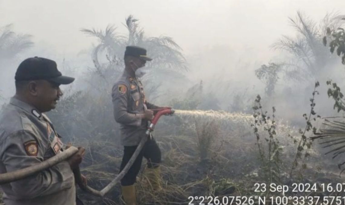 Seluas 25 Hektare Lahan Terbakar Di Rokan Hilir Riau